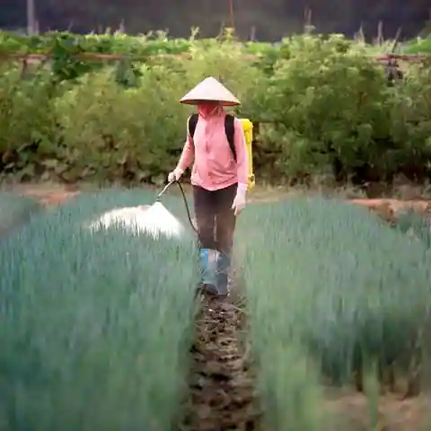 강북구 수유동 방역·소독 안내 이미지