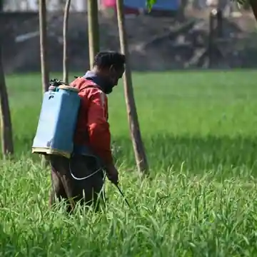 강동구 명일동 방역·소독 안내 이미지