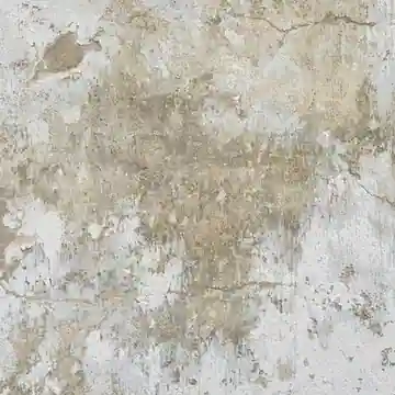속초시 금호동 복구청소 안내 이미지
