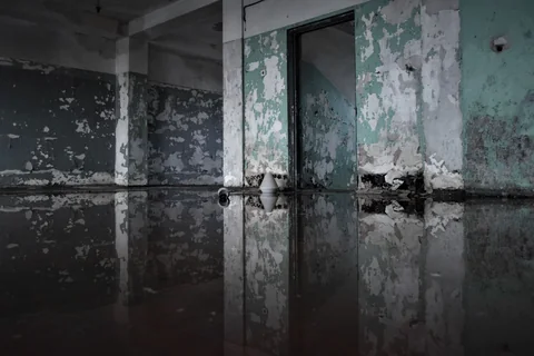 침수청소
